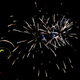 Illustration for article titled 75 Explosive Photos of Fireworks